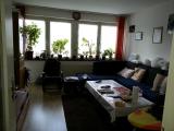 Neustadt: 3-Zimmer-Wohnung im EG., Balkon, zentrumsnah !!